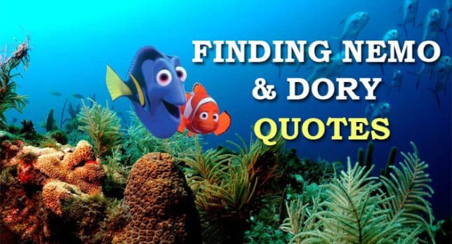 13 Best Finding Nemo And Finding Dory Quotes That Inspire You