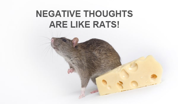 negative thoughts are like rats