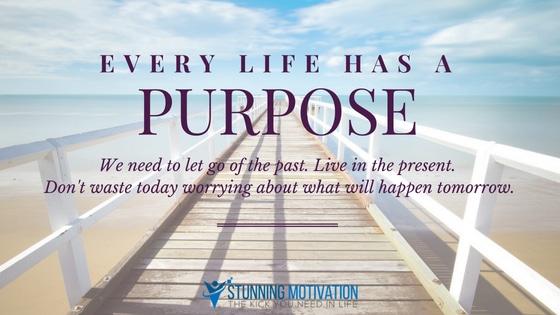 purpose quote