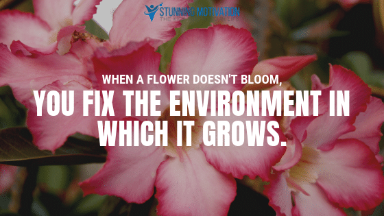 When a flower doesn't bloom, you fix the environment in which it grows, not the flower.