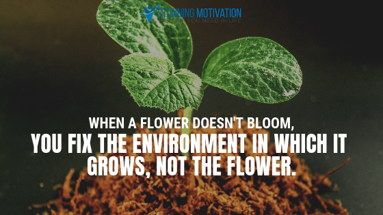 When a flower doesn't bloom, you fix the environment in which it grows, not the flower.