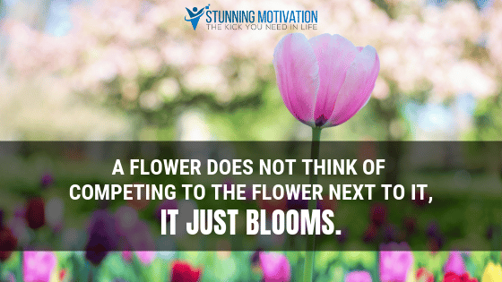 A flower does not think of competing to the flower next to it, it just blooms.