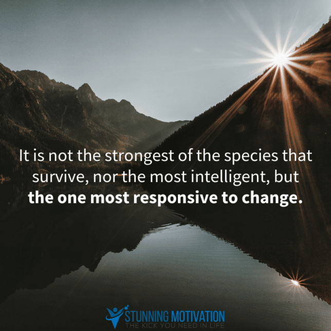 It is not the strongest of the species that survive, nor the most intelligent, but the most responsive to change.