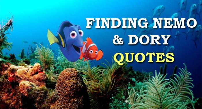 finding nemo in hindi movie download