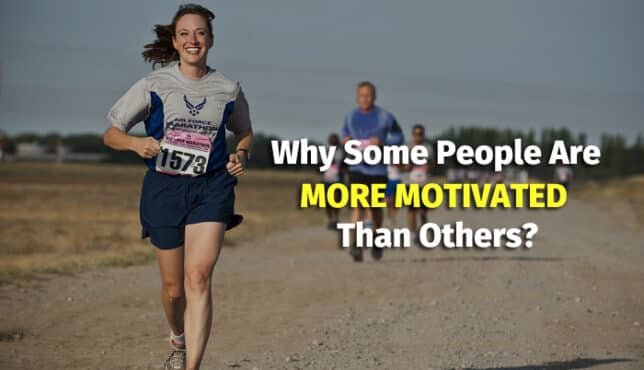 why some people are more motivated than others