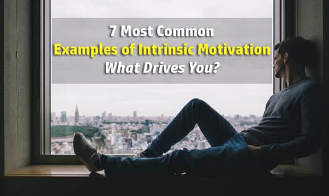 intrinsic motivation examples