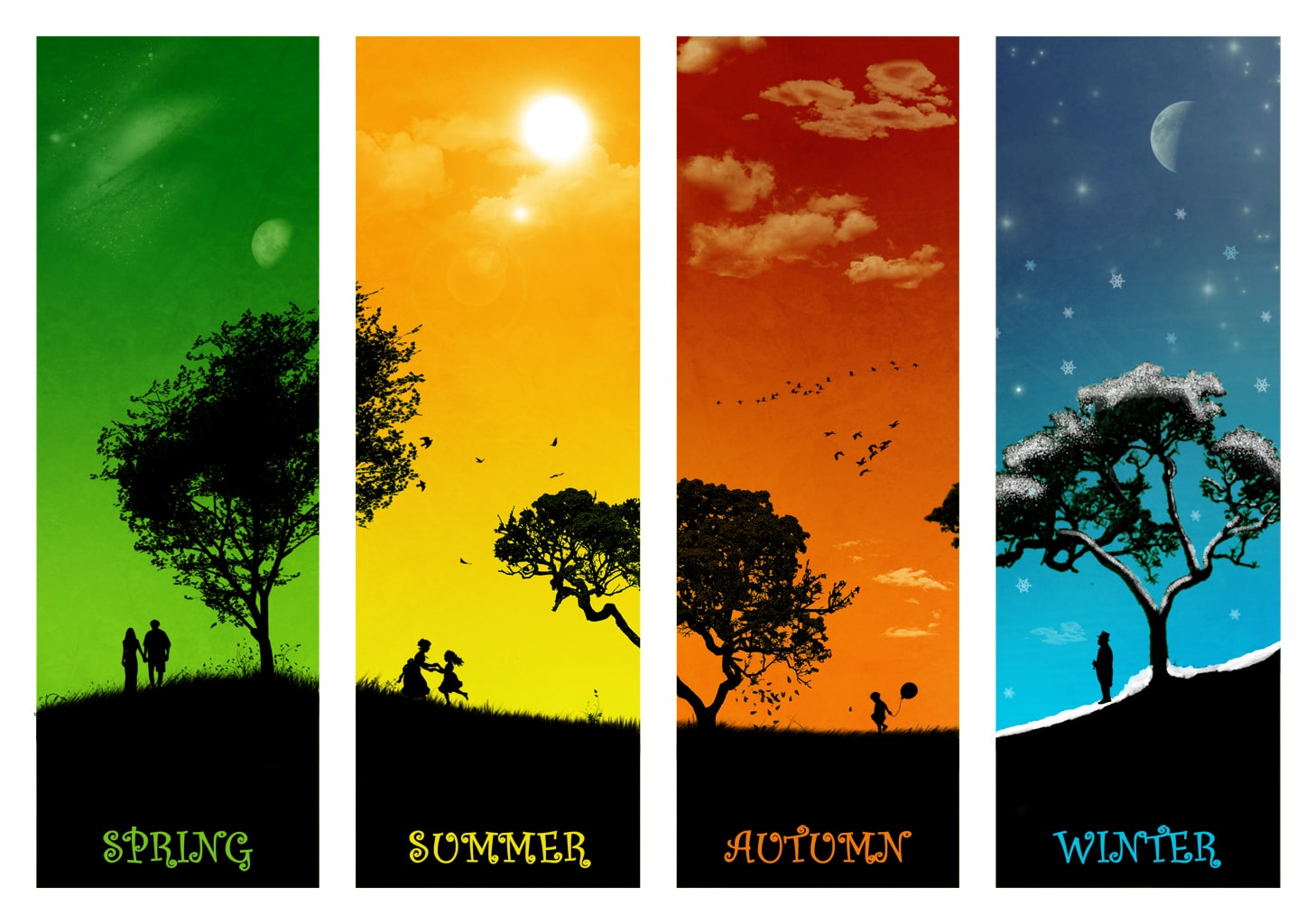 seasons of life