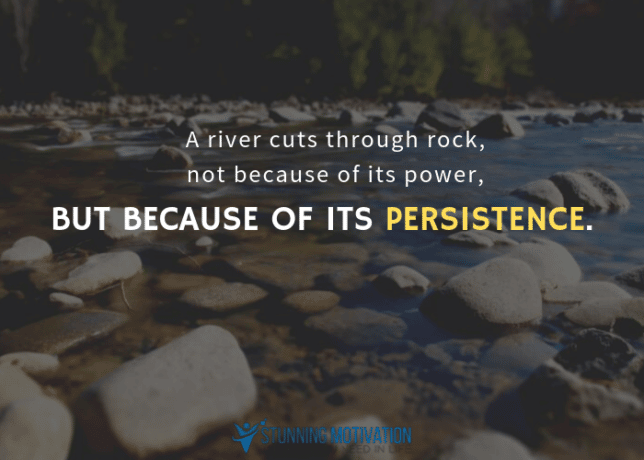 A river cuts through rock, not because of its power, but because of its persistence.