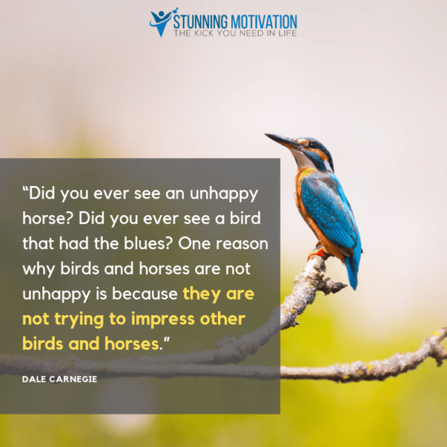 “Did you ever see an unhappy horse? Did you ever see a bird that had the blues? One reason why birds and horses are not unhappy is because they are not trying to impress other birds and horses.”