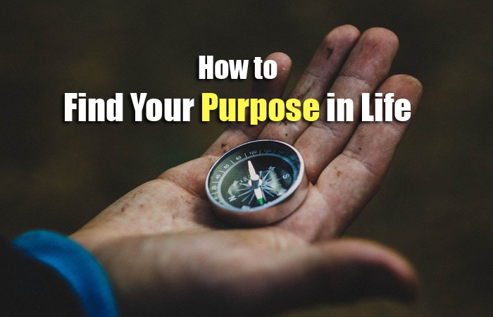 find your purpose in life