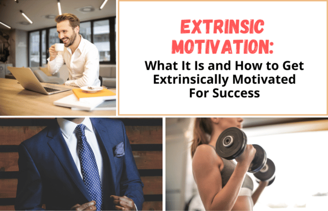 extrinsic-motivation