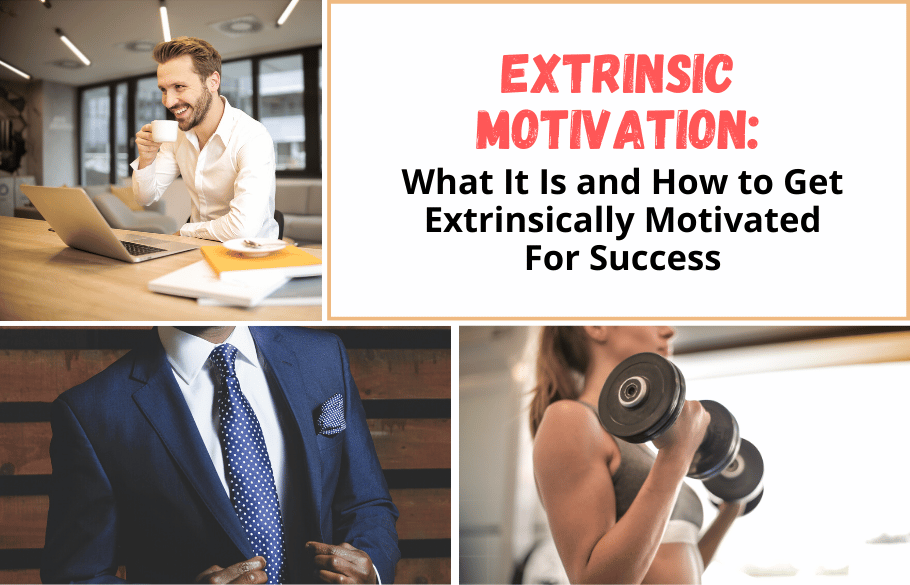 research questions on extrinsic motivation