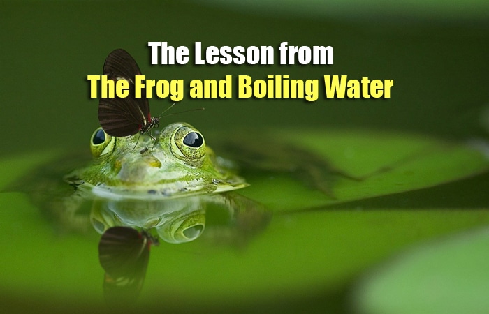 frog and boiling water