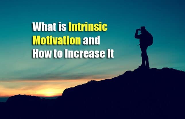 What Is Intrinsic Motivation And How To Get Intrinsically Motivated