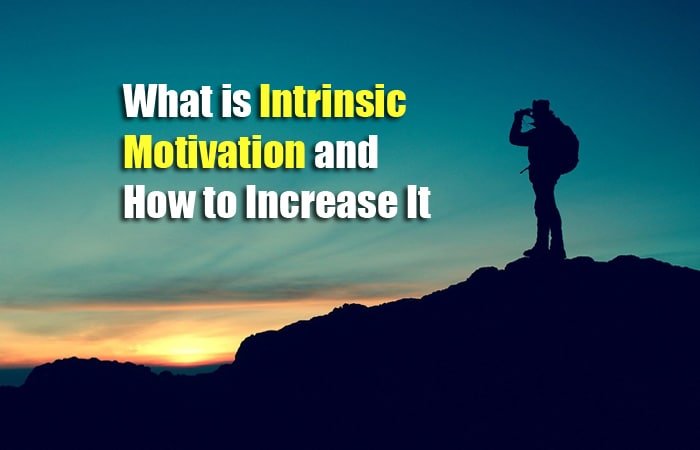 what-is-intrinsic-motivation