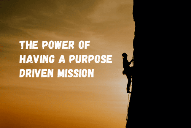 purpose driven mission