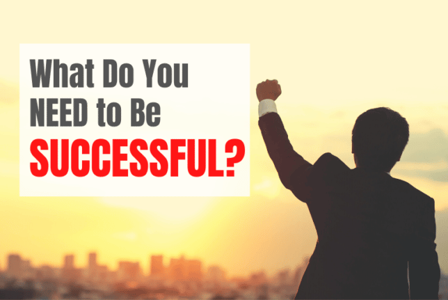 what do you need to be successful