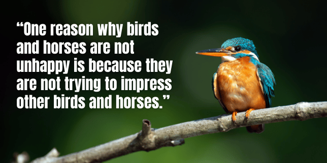 One reason why birds and horses are not unhappy is because they are not trying to impress other birds and horses.