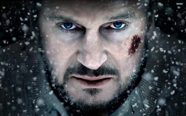liam john neeson quotes